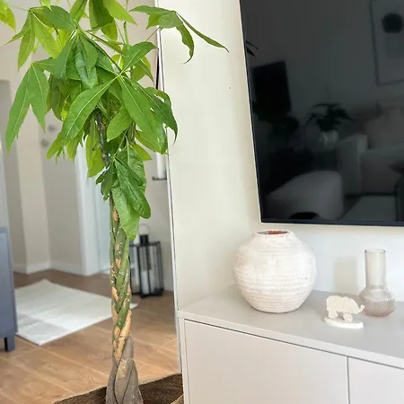 Japandi Apartment *
